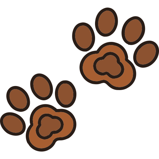 Paw